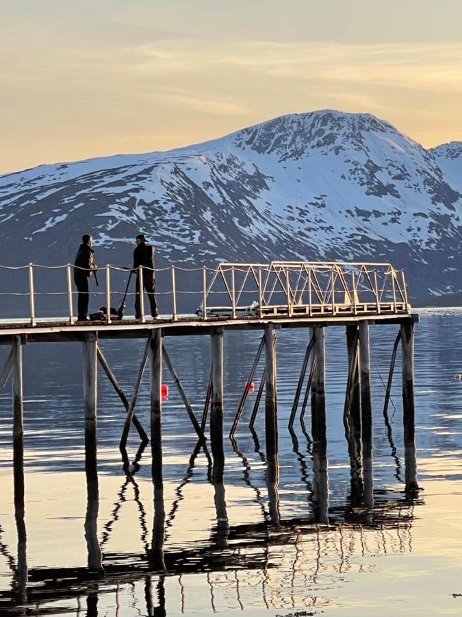 Skittenelv Lodge & Camping Tromsø Kültér fotó