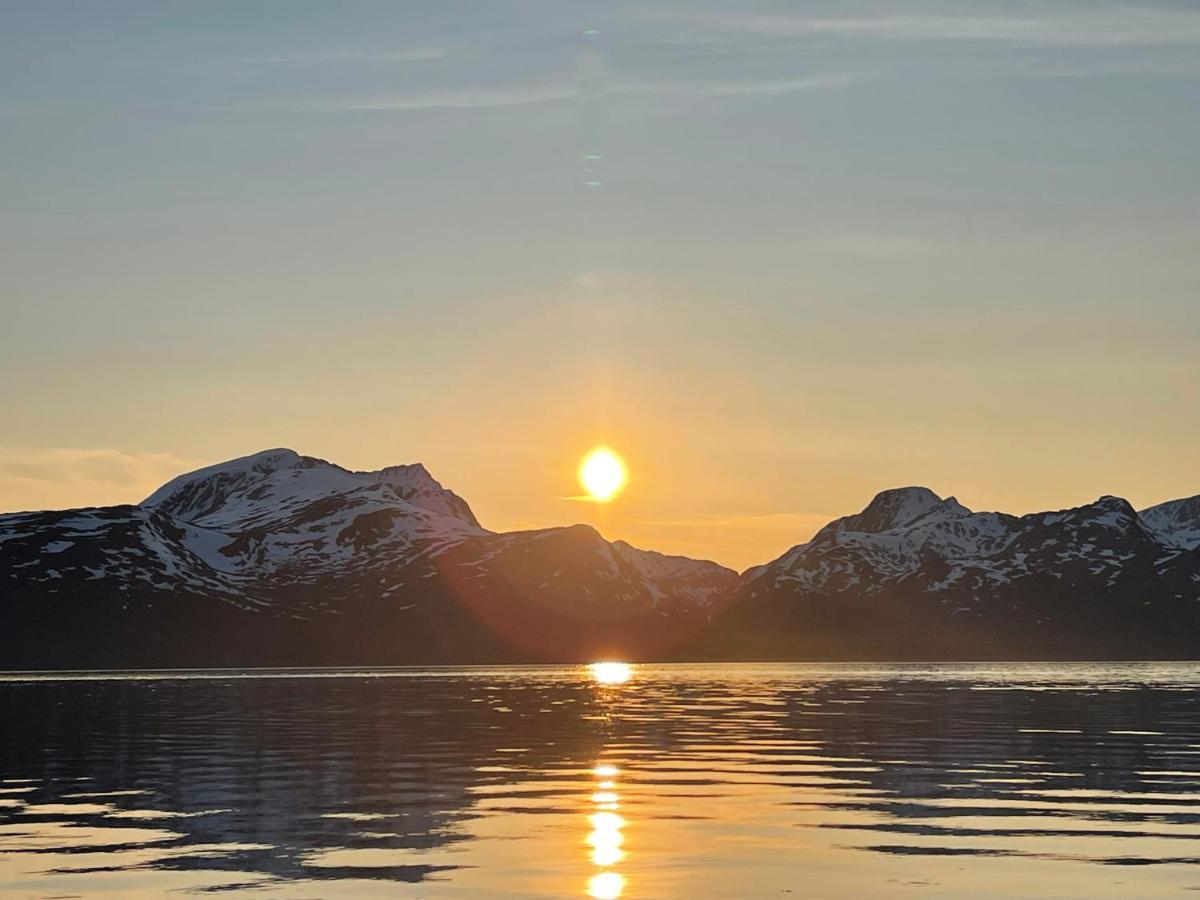 Skittenelv Lodge & Camping Tromsø Kültér fotó